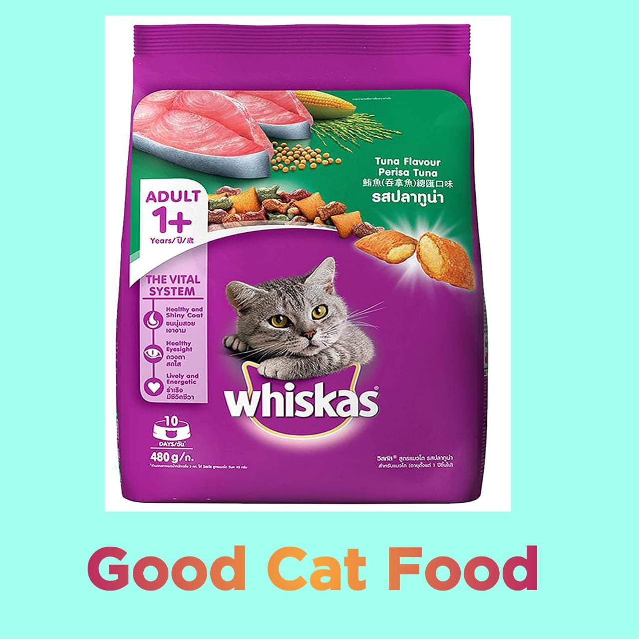 #cat food #food cat #cat food #cat foods #cats food #food for cat food for cats# whiskas cat food# whiskas food for cats# whiskas, cats food online, whiskas wet food# whiskas cat food pouches# cat food whiskas, whiskas cat# #whiskas cats #cat food prices #whiskas food what cat food, #cat whiskas new whiskas cat food# cats_food# food for cat# food for cats, #whiskas cat food #whiskas food for cats #whiskas #cats food online